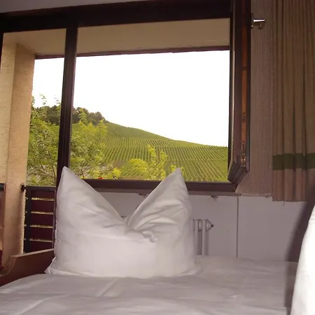 Alte Kelter Hotel