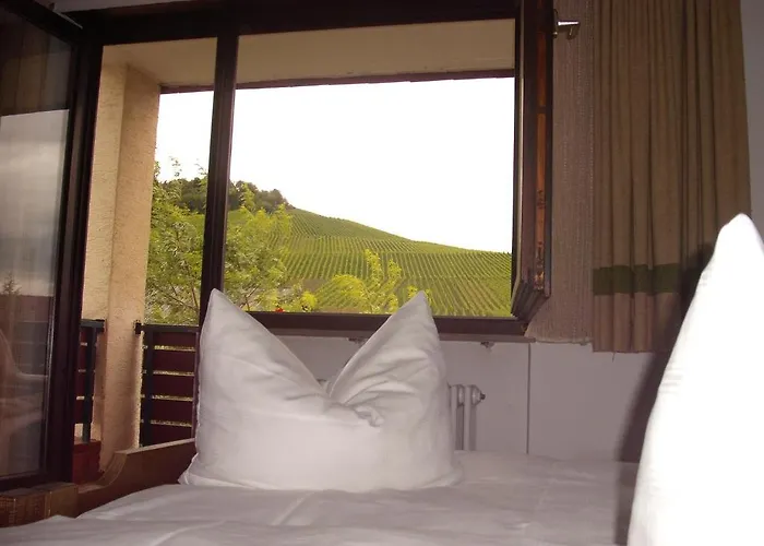 Alte Kelter מלון